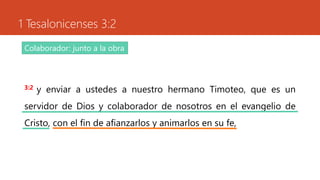 1 Tesalonicenses 3:2
3:2 y enviar a ustedes a nuestro hermano Timoteo, que es un
servidor de Dios y colaborador de nosotros en el evangelio de
Cristo, con el fin de afianzarlos y animarlos en su fe,
Colaborador: junto a la obra
 