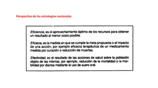 Perspectiva de las estrategias nacionales
 
