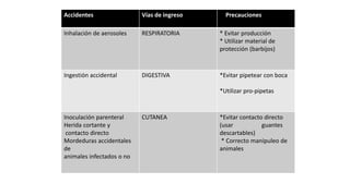 Accidentes Vías de ingreso Precauciones
Inhalación de aerosoles RESPIRATORIA * Evitar producción
* Utilizar material de
protección (barbijos)
Ingestión accidental DIGESTIVA *Evitar pipetear con boca
*Utilizar pro-pipetas
Inoculación parenteral
Herida cortante y
contacto directo
Mordeduras accidentales
de
animales infectados o no
CUTANEA *Evitar contacto directo
(usar guantes
descartables)
* Correcto manipuleo de
animales
 