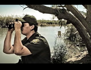 Timothy Bailey - Advertising