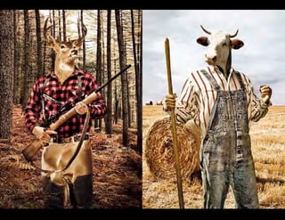 Timothy Bailey - Advertising