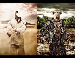 Timothy Bailey - Advertising