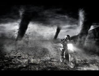 Timothy Bailey - Advertising