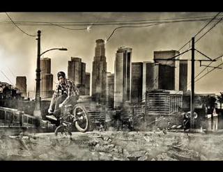 Timothy Bailey - Advertising