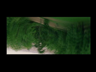 Tim Palmer - Irreversible ending frames