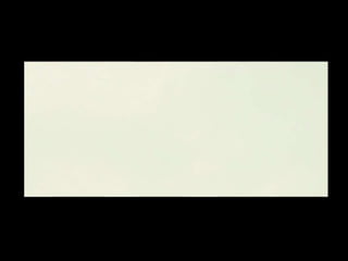 Tim Palmer - Irreversible ending frames