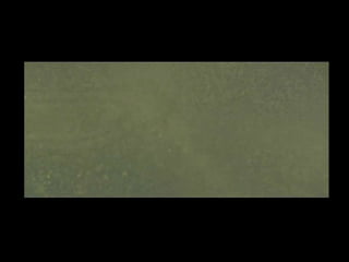 Tim Palmer - Irreversible ending frames