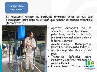 Timpanismo
Espumoso
Es necesario romper las burbujas formadas antes de que sean
desalojadas, para esto se utilizan que rompen la tensión superficial
(tensoactivas).
• Agentes derivados de la
tremetina, dimetilpolisiloxano,
poloxalene, succinato de sodio
(no confieren mal sabor u olor a
la leche o carne)
• Aceite mineral + Detergentes
(dioctil sulfosuccinato sódico)
• Aceites vegetales, de maíz o de
soya
• Tremetina (efectivo pero
irritante y confiere mal sabor a
carne y leche)
• Rumenectomía o Trocarización
 
