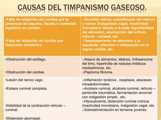 CAUSAS DEL TIMPANISMO GASEOSO. 
•Falta de relajación del cardias por la 
presencia de espuma, liquido o contenido 
digestivo en cardias . 
•Falta de relajación de cardias por 
distorsión anatómica. 
oDecúbito lateral, sobrellenado del retículo 
y rumen (indigestión vagal, inactividad 
microbiana debida a la mala digestibilidad 
del alimento), obstrucción del orificio 
retículo - omasal, etc. 
oDesplazamiento de abomaso a la 
izquierda, infección o inflamación en la 
región cardial, etc. 
•Obstrucción del esófago. 
•Obstrucción del cardias. 
oAtasco de alimentos, tétanos, linfosarcoma 
del timo, hipertrofia de nódulos linfáticos 
mediastínicos, etc. 
oPapiloma fibroma. 
•Lesión del nervio vago. 
•Estasis ruminal completa. 
•Debilidad de la contracción retículo – 
ruminal. 
•Distensión abomasal. 
oInflamación torácica , neoplasia, abscesos 
intraabdominales. 
oAcidosis ruminal, alcalosis ruminal, retículo – 
peritonitis traumática, fermentación anormal 
con indigestión simple , etc. 
oHipocalcemia, distensión ruminal crónica 
(inactividad microbiana, indigestión vagal, etc. 
oSobrealimentación en terneros jovenes. 
 