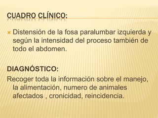 CUADRO CLÍNICO: 
 Distensión de la fosa paralumbar izquierda y 
según la intensidad del proceso también de 
todo el abdomen. 
DIAGNÓSTICO: 
Recoger toda la información sobre el manejo, 
la alimentación, numero de animales 
afectados , cronicidad, reincidencia. 
