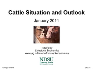 Cattle Situation and Outlook   January 2011 Tim Petry Livestock Economist www.ag.ndsu.edu/livestockeconomics 01/27/11 Carrington-Jan2011 