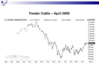 Feeder Cattle – April 2009 