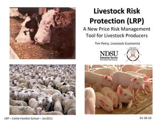 Livestock Risk Protection (LRP) A New Price Risk Management Tool for Livestock Producers Tim Petry, Livestock Economist 01-28-10 LRP – Cattle Feedlot School – Jan2011 