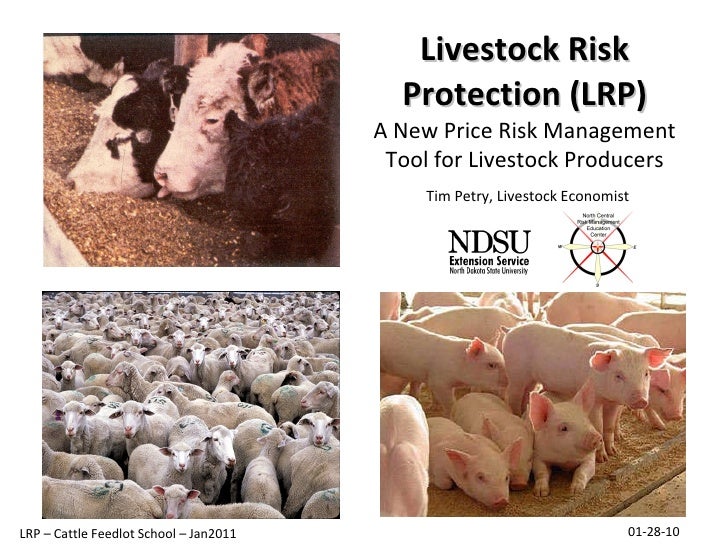 Livestock Risk Protection (LRP)