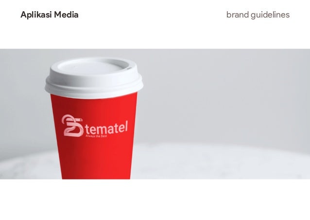 25th Stematel Brand Guidelines