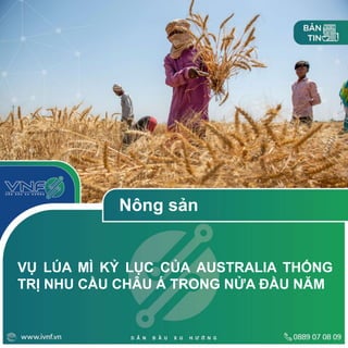 VỤ LÚA MÌ KỶ LỤC CỦA AUSTRALIA THỐNG
TRỊ NHU CẦU CHÂU Á TRONG NỬA ĐẦU NĂM
Nông sản
 