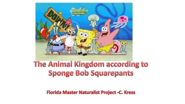 Kingdom Phylum Clorder Genus Species All Living Creatures Belong To One Of Five Kingdoms Animal Kingdom Phylum Clorder Genus Species All Living Creatures Belong To One Of Five Kingdoms Animal