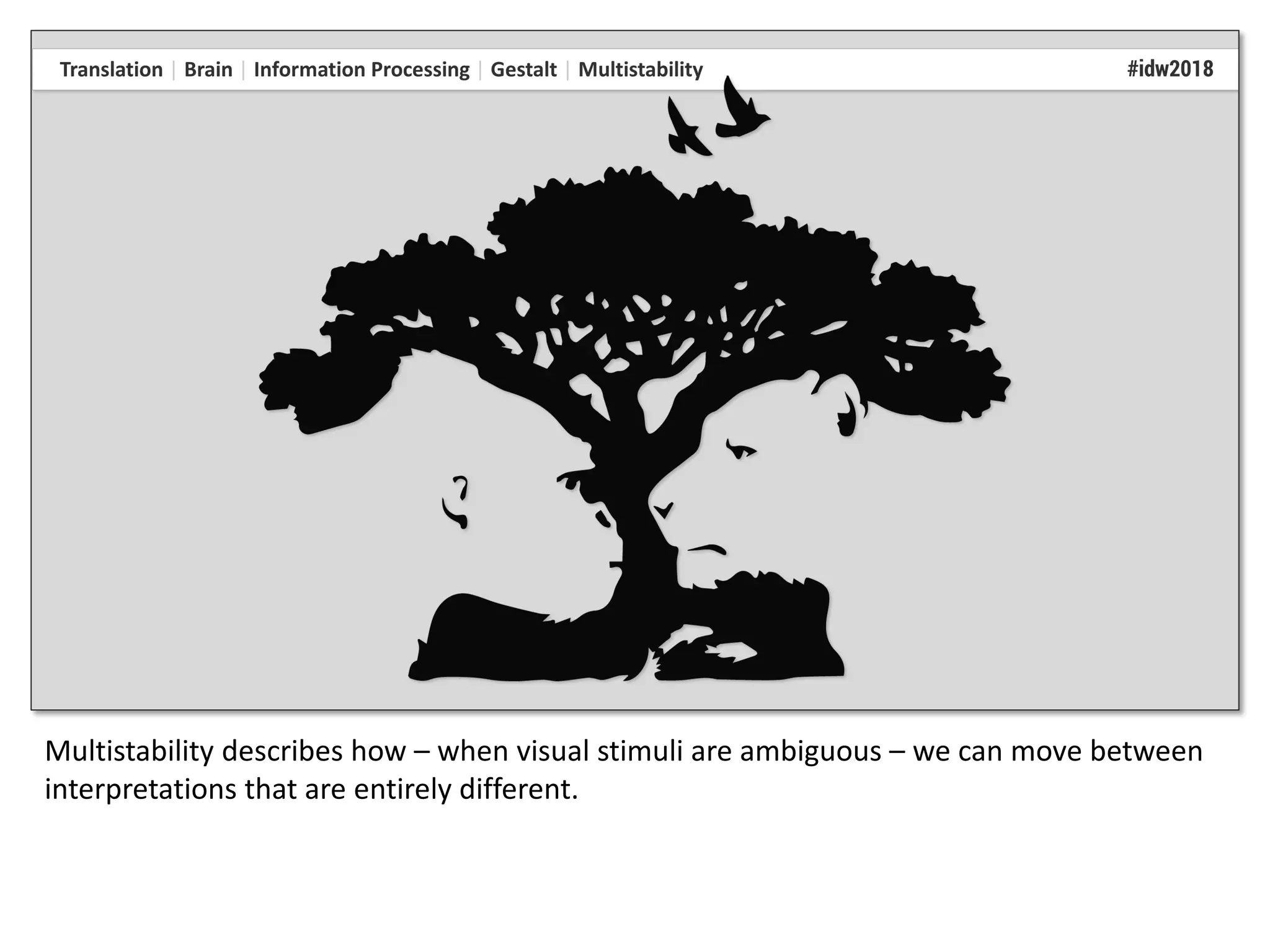 Multistability describes how – when visual stimuli are ambiguous – we can move between
interpretations that are entirely different.
 