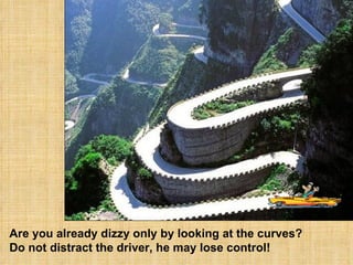 Are you already dizzy only by looking at the curves?  Do not distract the driver, he may lose control! 