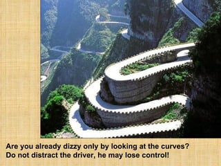 Are you already dizzy only by looking at the curves?  Do not distract the driver, he may lose control! 