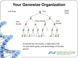 Custom DNA Formulated SupplementsOver 120 possible ingredients will make up over 577,000 variations