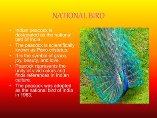 NATIONAL BIRD
• Indian peacock is
designated as the national
bird of India.
• The peacock is scientifically
known as Pavo cristatus.
• It is the symbol of grace,
joy, beauty, and love.
• Peacock represents the
unity of vivid colors and
finds references in Indian
culture.
• The peacock was adopted
as the national bird of India
in 1963.
 