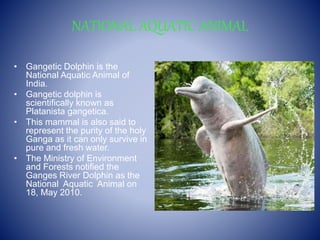 NATIONAL AQUATIC ANIMAL
• Gangetic Dolphin is the
National Aquatic Animal of
India.
• Gangetic dolphin is
scientifically known as
Platanista gangetica.
• This mammal is also said to
represent the purity of the holy
Ganga as it can only survive in
pure and fresh water.
• The Ministry of Environment
and Forests notified the
Ganges River Dolphin as the
National Aquatic Animal on
18, May 2010.
 