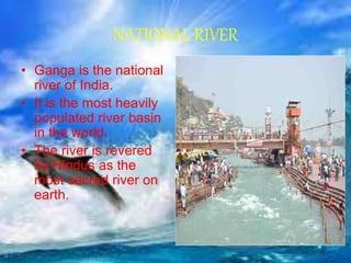 NATIONAL RIVER
• Ganga is the national
river of India.
• It is the most heavily
populated river basin
in the world.
• The river is revered
by Hindus as the
most sacred river on
earth.
 