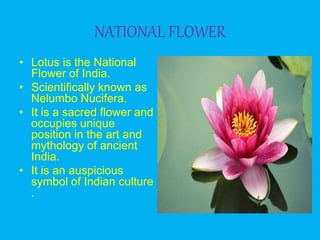 NATIONAL FLOWER
• Lotus is the National
Flower of India.
• Scientifically known as
Nelumbo Nucifera.
• It is a sacred flower and
occupies unique
position in the art and
mythology of ancient
India.
• It is an auspicious
symbol of Indian culture
.
 