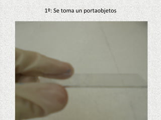 1º: Se toma un portaobjetos