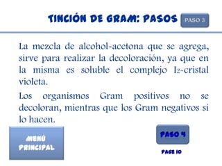 TINCIÓN DE GRAM: PASOS

La mezcla de alcohol-acetona que se agrega,
sirve para realizar la decoloración, ya que en
la misma es soluble el complejo I2-cristal
violeta.
Los organismos Gram positivos no se
decoloran, mientras que los Gram negativos sí
lo hacen.
  Menú
Principal
                                  Page 10
 