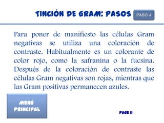 TINCIÓN DE GRAM: PASOS

Para poner de manifiesto las células Gram
negativas se utiliza una coloración de
contraste. Habitualmente es un colorante de
color rojo, como la safranina o la fucsina.
Después de la coloración de contraste las
células Gram negativas son rojas, mientras que
las Gram positivas permanecen azules.

  Menú
Principal
                                  Page 11
 