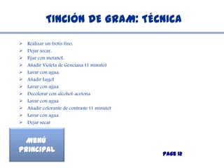 TINCIÓN DE GRAM: TÉCNICA
   Realizar un frotis fino.
   Dejar secar.
   Fijar con metanol.
   Añadir Violeta de Genciana (1 minuto)
   Lavar con agua.
   Añadir Lugol
   Lavar con agua
   Decolorar con alcohol-acetona
   Lavar con agua
   Añadir colorante de contraste (1 minuto)
   Lavar con agua
   Dejar secar


  Menú
Principal
                                               Page 12
 