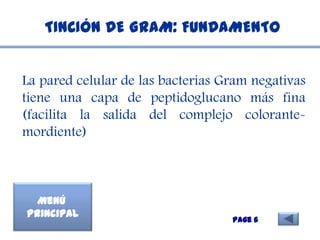 TINCIÓN DE GRAM: FUNDAMENTO


La pared celular de las bacterias Gram negativas
tiene una capa de peptidoglucano más fina
(facilita la salida del complejo colorante-
mordiente)



  Menú
Principal
                                   Page 6
 
