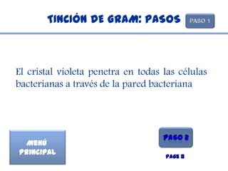 TINCIÓN DE GRAM: PASOS



El cristal violeta penetra en todas las células
bacterianas a través de la pared bacteriana




  Menú
Principal
                                    Page 8
 