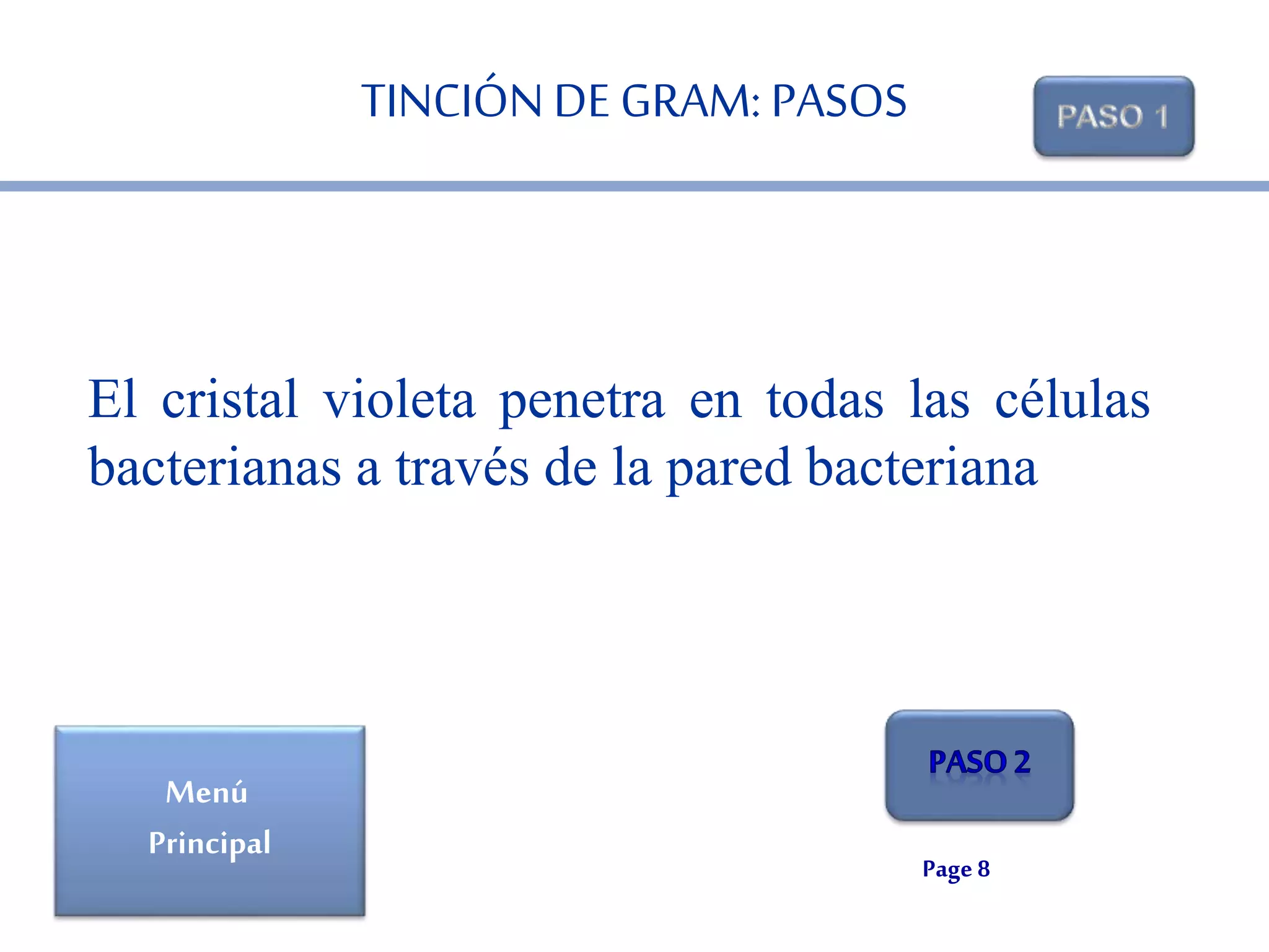El cristal violeta penetra en todas las células 
bacterianas a través de la pared bacteriana 
Page 8 
TINCIÓN DE GRAM: PASOS 
Menú 
Principal 
 
