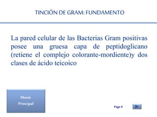 TINCIÓN DE GRAM: FUNDAMENTO 
La pared celular de las Bacterias Gram positivas 
posee una gruesa capa de peptidoglicano 
(r...