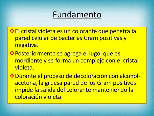 Tinción de gram (1)