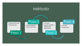 Método
• Desparafinado
• hidratación
Paso 1
• Hematoxilina
por 5 minutos
Paso 2 • Lavado
• Acido acético
5% por 30
segundos
Paso 3
• Lavado
• Viraje azul
Paso 4
 