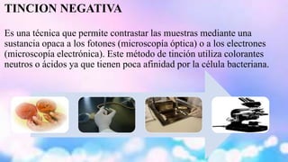 TINCION NEGATIVA 
Es una técnica que permite contrastar las muestras mediante una 
sustancia opaca a los fotones (microscopía óptica) o a los electrones 
(microscopía electrónica). Este método de tinción utiliza colorantes 
neutros o ácidos ya que tienen poca afinidad por la célula bacteriana. 
 