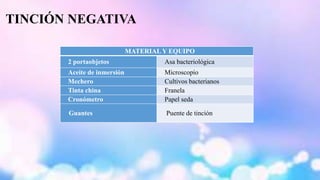 TINCIÓN NEGATIVA 
MATERIAL Y EQUIPO 
2 portaobjetos Asa bacteriológica 
Aceite de inmersión Microscopio 
Mechero Cultivos bacterianos 
Tinta china Franela 
Cronómetro Papel seda 
Guantes Puente de tinción 
 