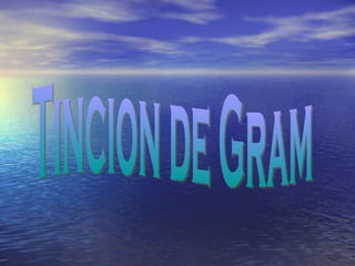 Tincion de Gram 