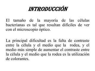 Introducción
El tamaño de la mayoría de las células
bacterianas es tal que resultan difíciles de ver
con el microscopio óptico.

La principal dificultad es la falta de contraste
entre la célula y el medio que la rodea, y el
medio más simple de aumentar el contraste entre
la célula y el medio que la rodea es la utilización
de colorantes.
 