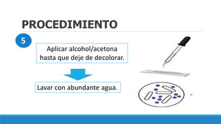 PROCEDIMIENTO
Aplicar alcohol/acetona
hasta que deje de decolorar.
Lavar con abundante agua.
5
 