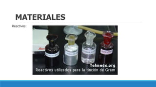 MATERIALES
Reactivos:
 