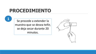 PROCEDIMIENTO
Se procede a extender la
muestra que se desea teñir,
se deja secar durante 20
minutos.
1
 