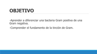 OBJETIVO
-Aprender a diferenciar una bacteria Gram positiva de una
Gram negativa.
-Comprender el fundamento de la tinción ...