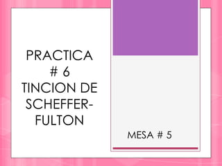 PRACTICA
    #6
TINCION DE
 SCHEFFER-
  FULTON
             MESA # 5
 