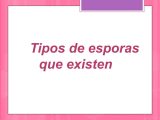 Tipos de esporas
 que existen
 