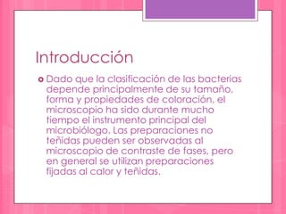 Introducción
 Dado  que la clasificación de las bacterias
 depende principalmente de su tamaño,
 forma y propiedades de c...